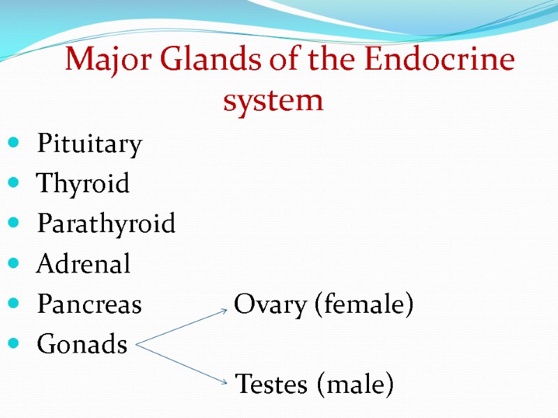 Major Glands of the Endocrine system   Pituitary   Thyroid  